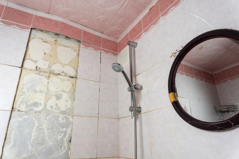 Local Shower Remodeling in Saint Paul, MN