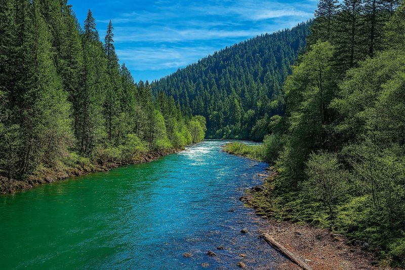 Local Bathroom Enlargement in Roseburg, OR
