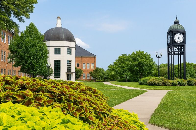 Local Bathroom Modification in O Fallon, MO