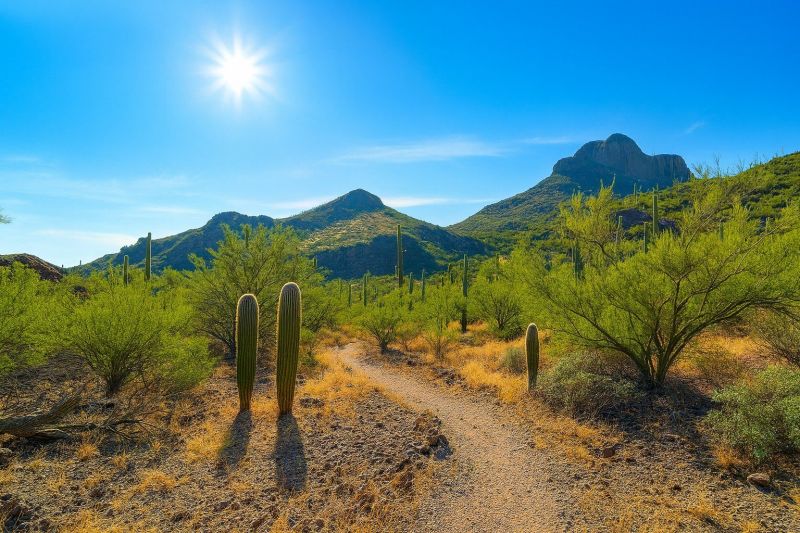 Local Shower Enlargement in Marana, AZ