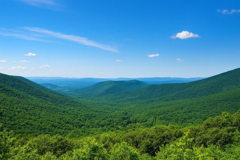 Local Shower Enlargement in Forest, VA