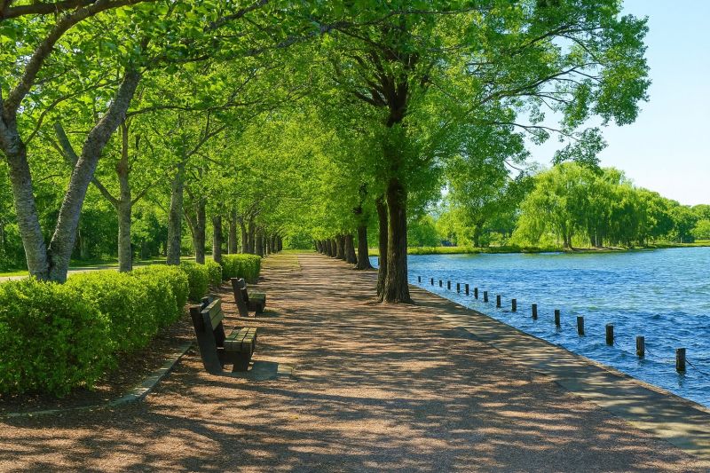 Local Shower Enlargement in High Ridge, MO