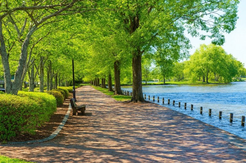 Local Shower Remodeling in Locust Grove, VA