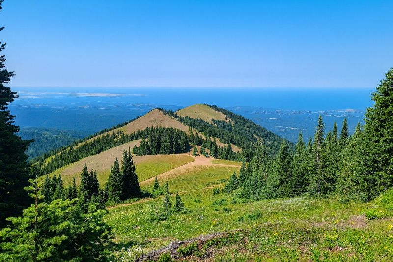 Local Shower Renovation in Deer Park, WA