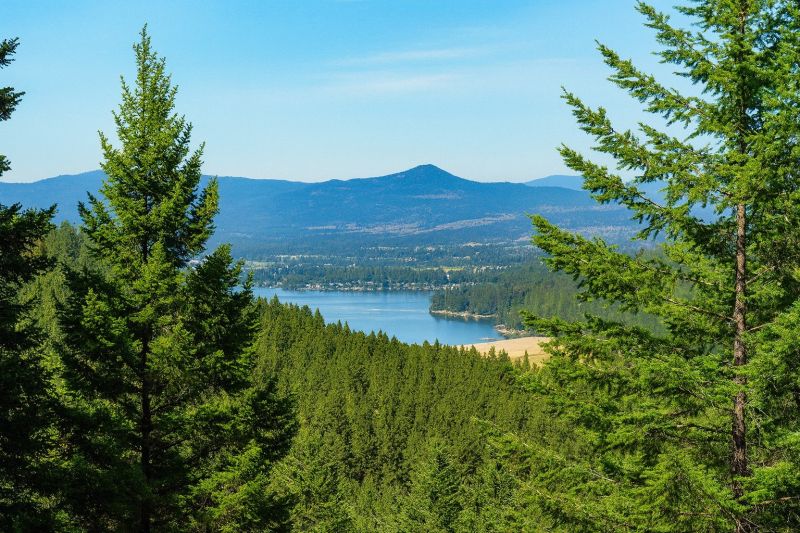 Local Shower Renovation in Liberty Lake, WA