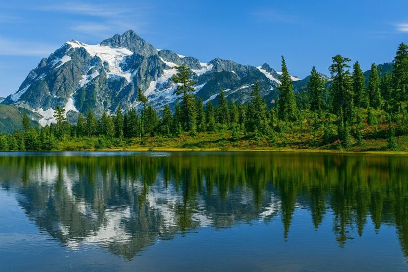 Local Shower Renovation in Maple Valley, WA