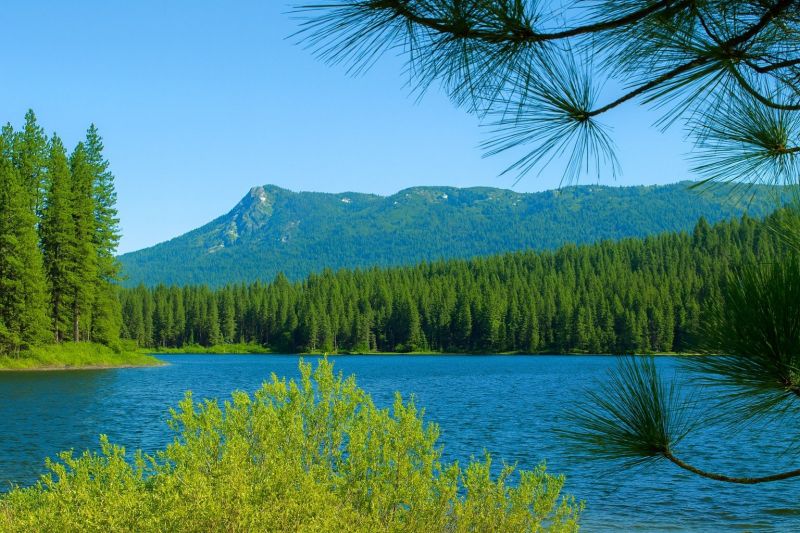 Local Shower Renovation in Antelope, CA