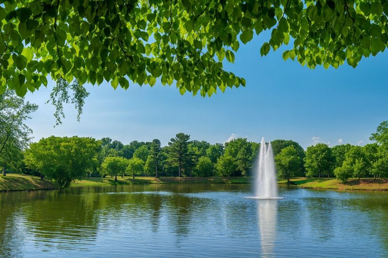 Local Shower Renovation in Fairview, NC