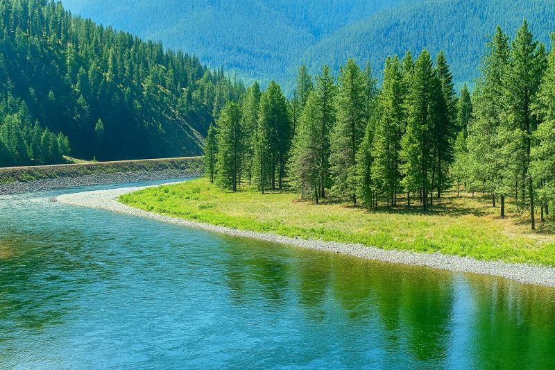 Local Tub Conversion Service in Columbia Falls, MT