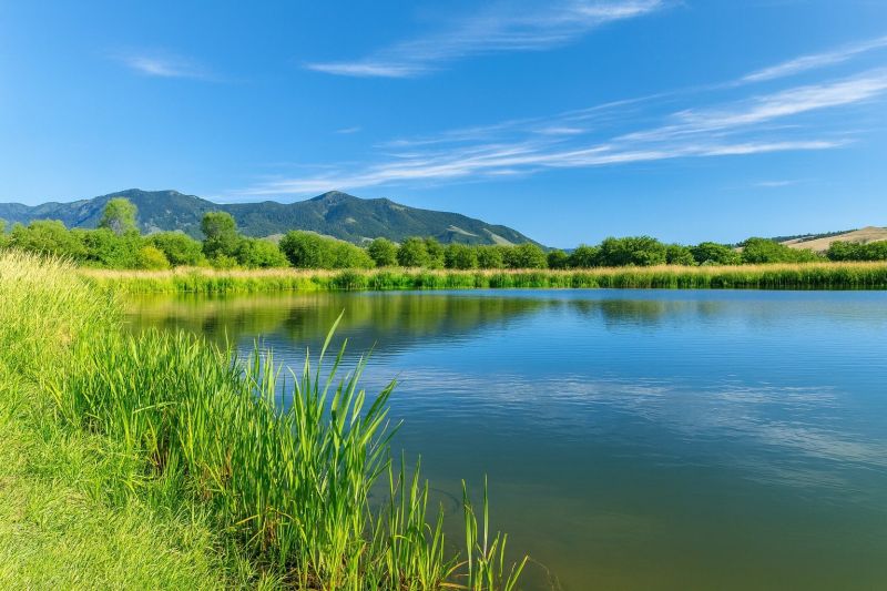 Local Tub Conversion Service in Belgrade, MT