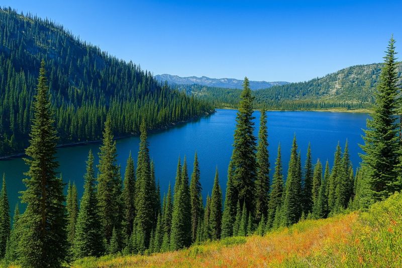 Local Tub Conversion Service in Payette, ID