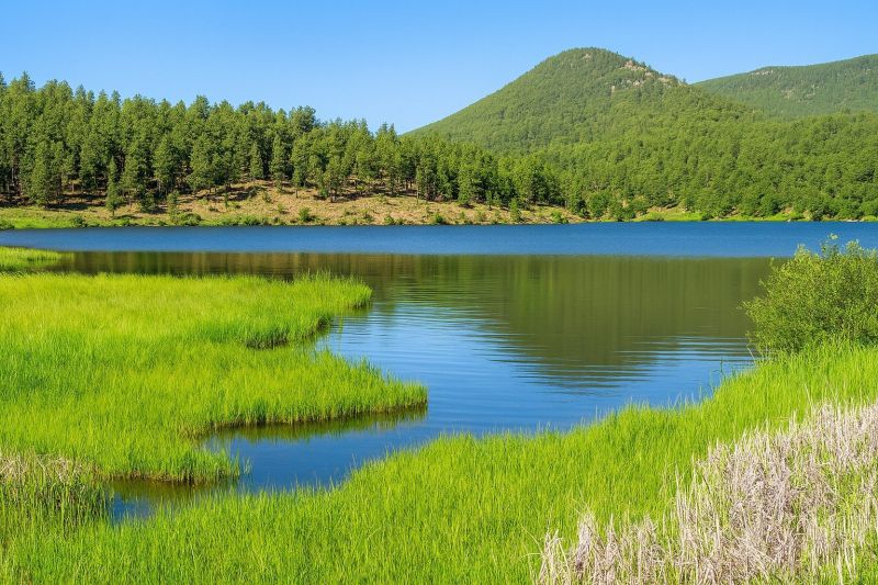 Local Tub Conversion Service in Evergreen, CO