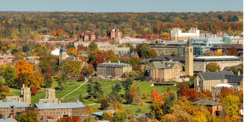 Local Tub Conversion Service in Ithaca, NY