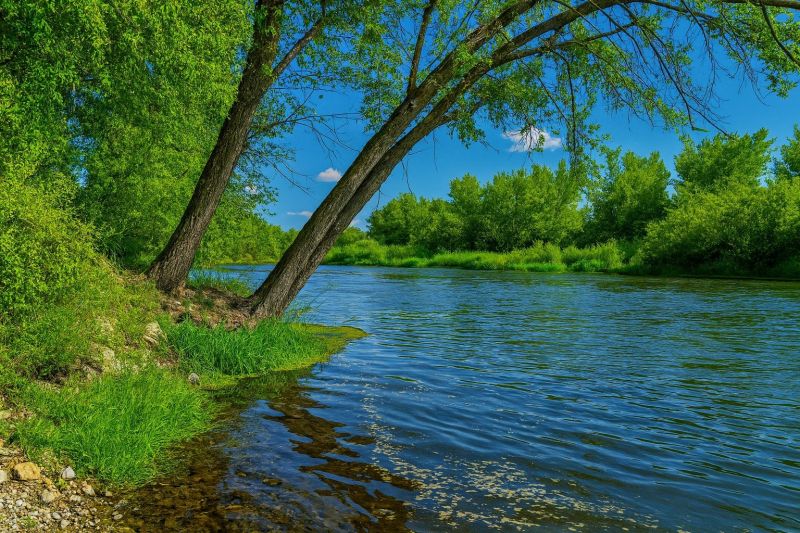 Local Tub Conversion Service in Middleton, ID