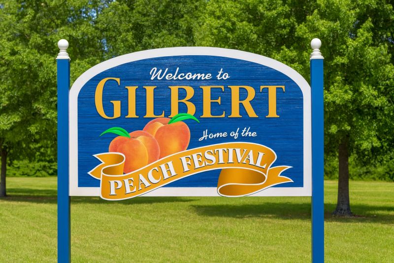 Local Tub Conversion Service in Gilbert, SC